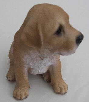 Puppy 2
