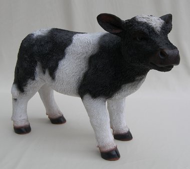 Koe