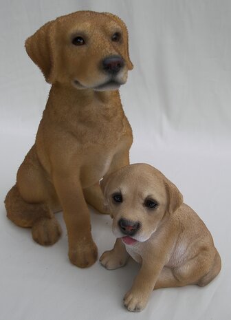 Puppy 2