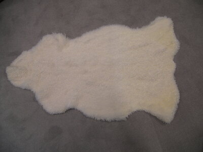 Schapenvachten curly