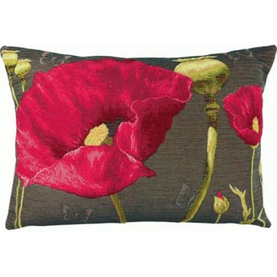 Papaver poppy-6