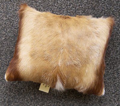 Sierkussen Springbok 06